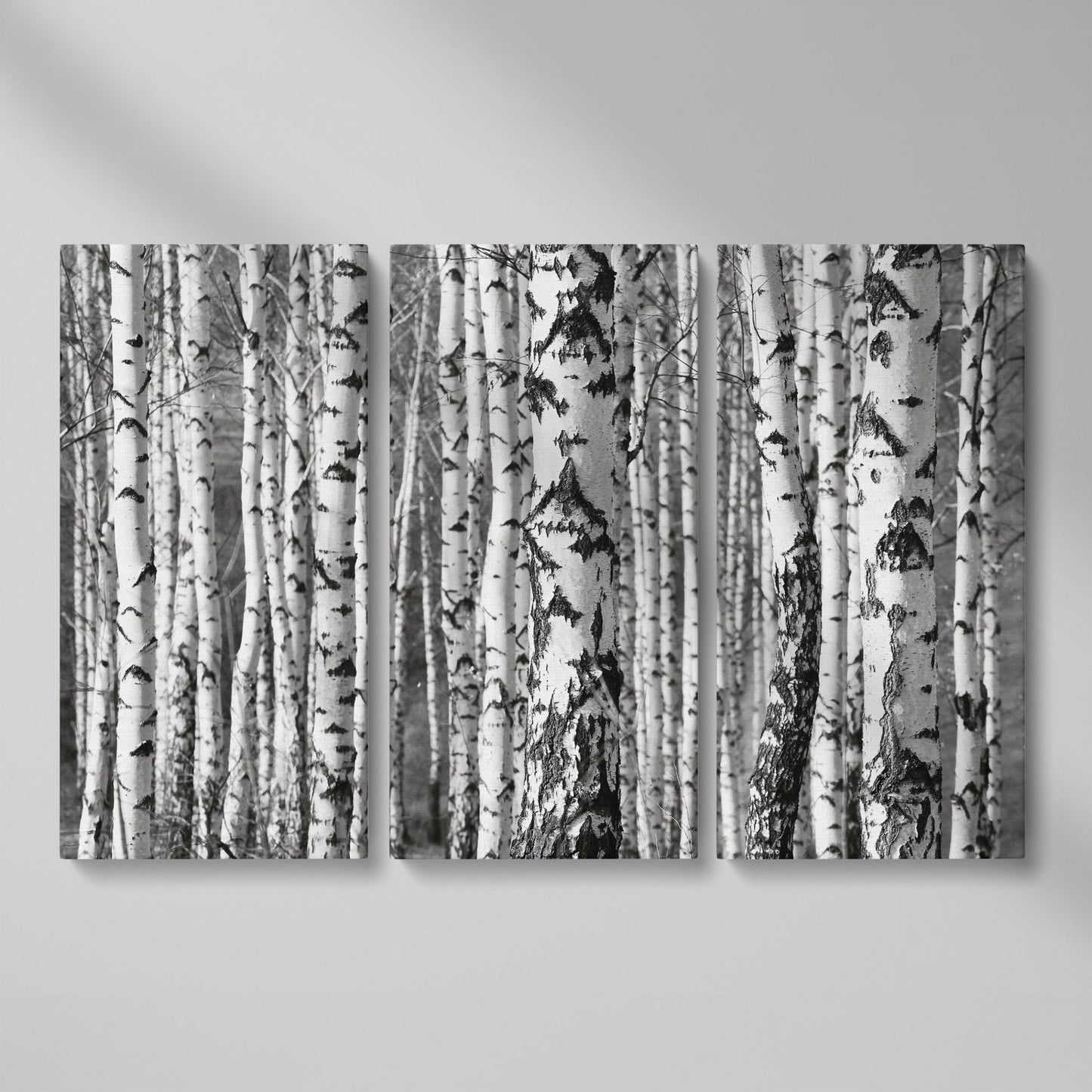 Birch Grove Canvas Wall Art: Bark and Trunk Detail as 3-panel split version