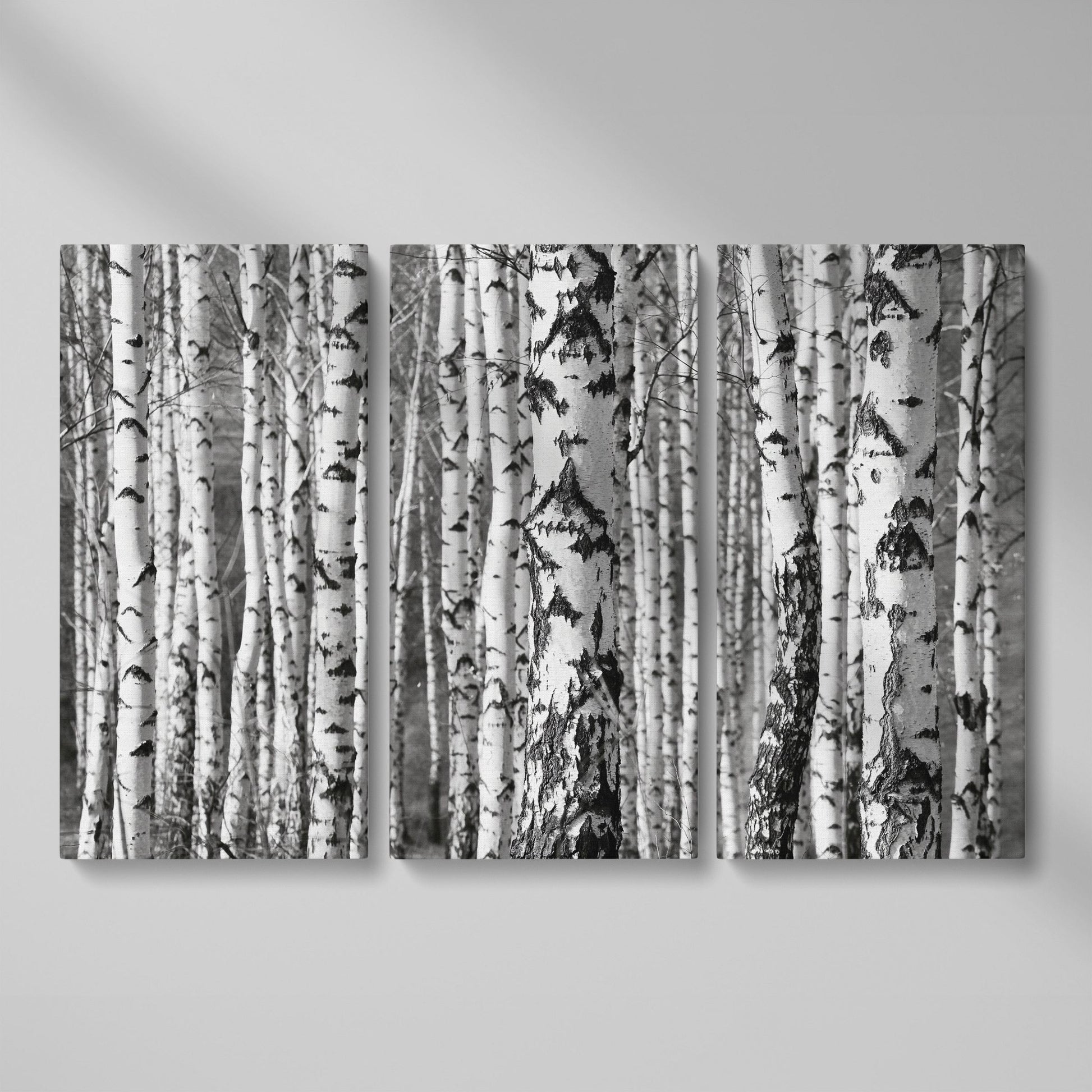 Birch Grove Canvas Wall Art: Bark and Trunk Detail as 3-panel split version