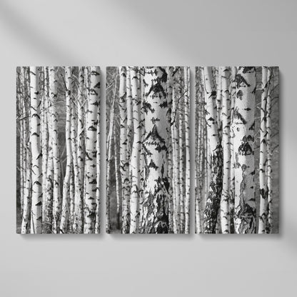 Birch Grove Canvas Wall Art: Bark and Trunk Detail as 3-panel split version