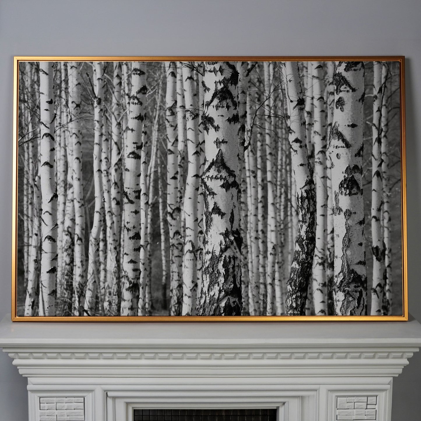 Birch Grove Canvas Wall Art: Bark and Trunk Detail in antique gold floating frame