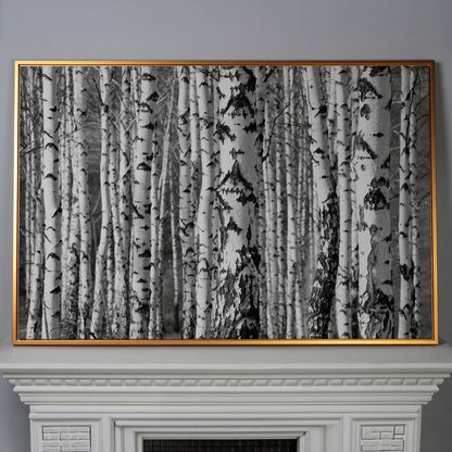 Birch Grove Canvas Wall Art: Bark and Trunk Detail in antique gold floating frame