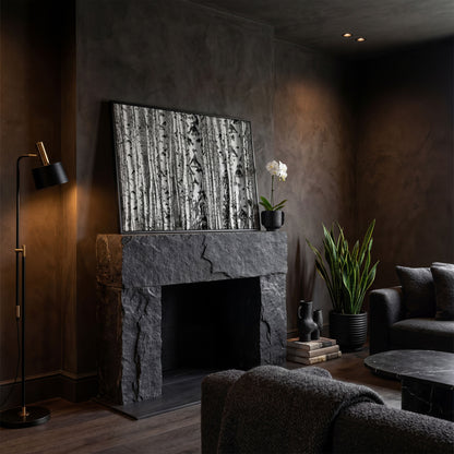 Birch Grove Canvas Wall Art: Bark and Trunk Detail in black floating frame