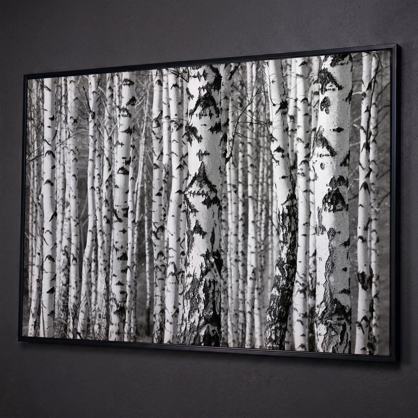 Birch Grove Canvas Wall Art: Bark and Trunk Detail shown in black floating frame
