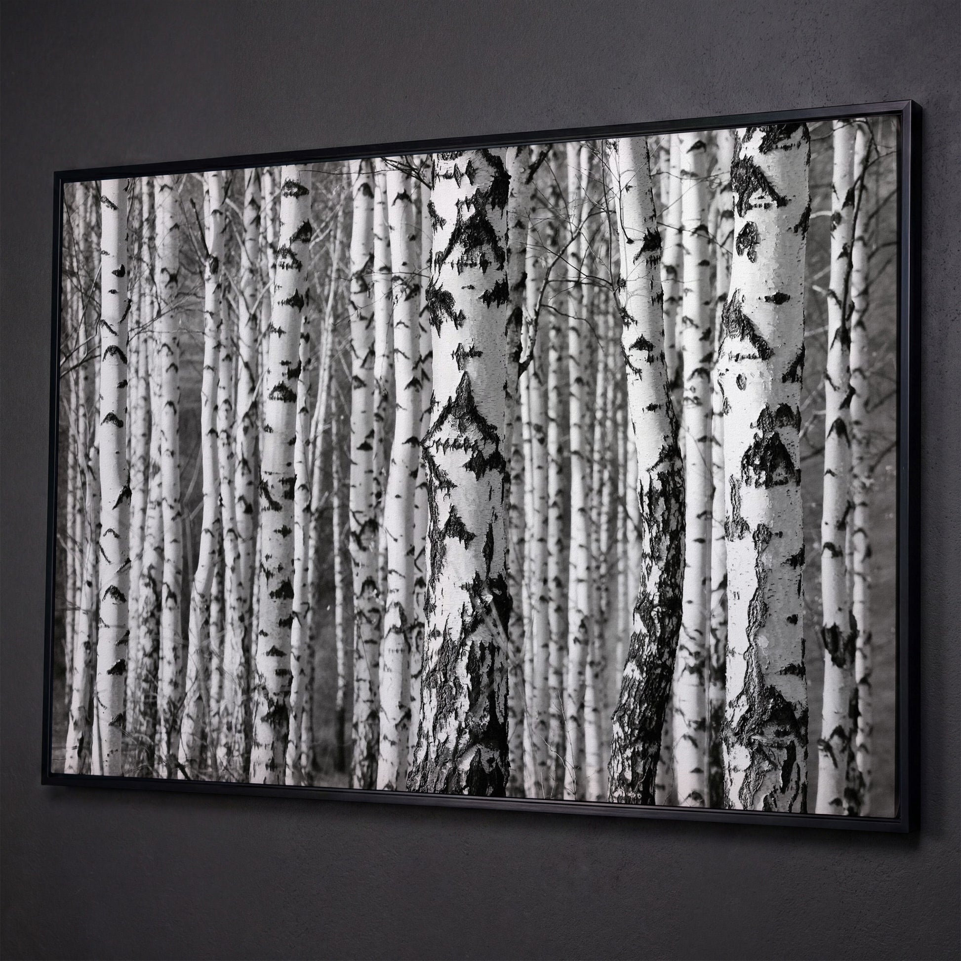 Birch Grove Canvas Wall Art: Bark and Trunk Detail shown in black floating frame