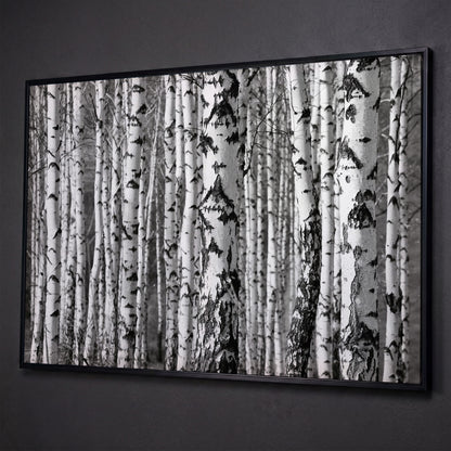 Birch Grove Canvas Wall Art: Bark and Trunk Detail shown in black floating frame
