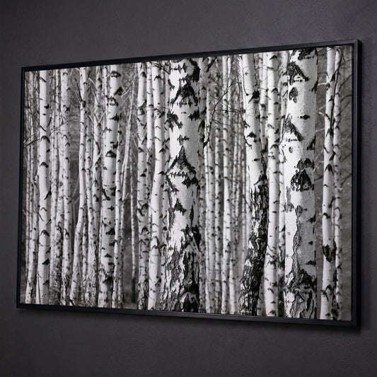 Birch Grove Canvas Wall Art: Bark and Trunk Detail shown in black floating frame