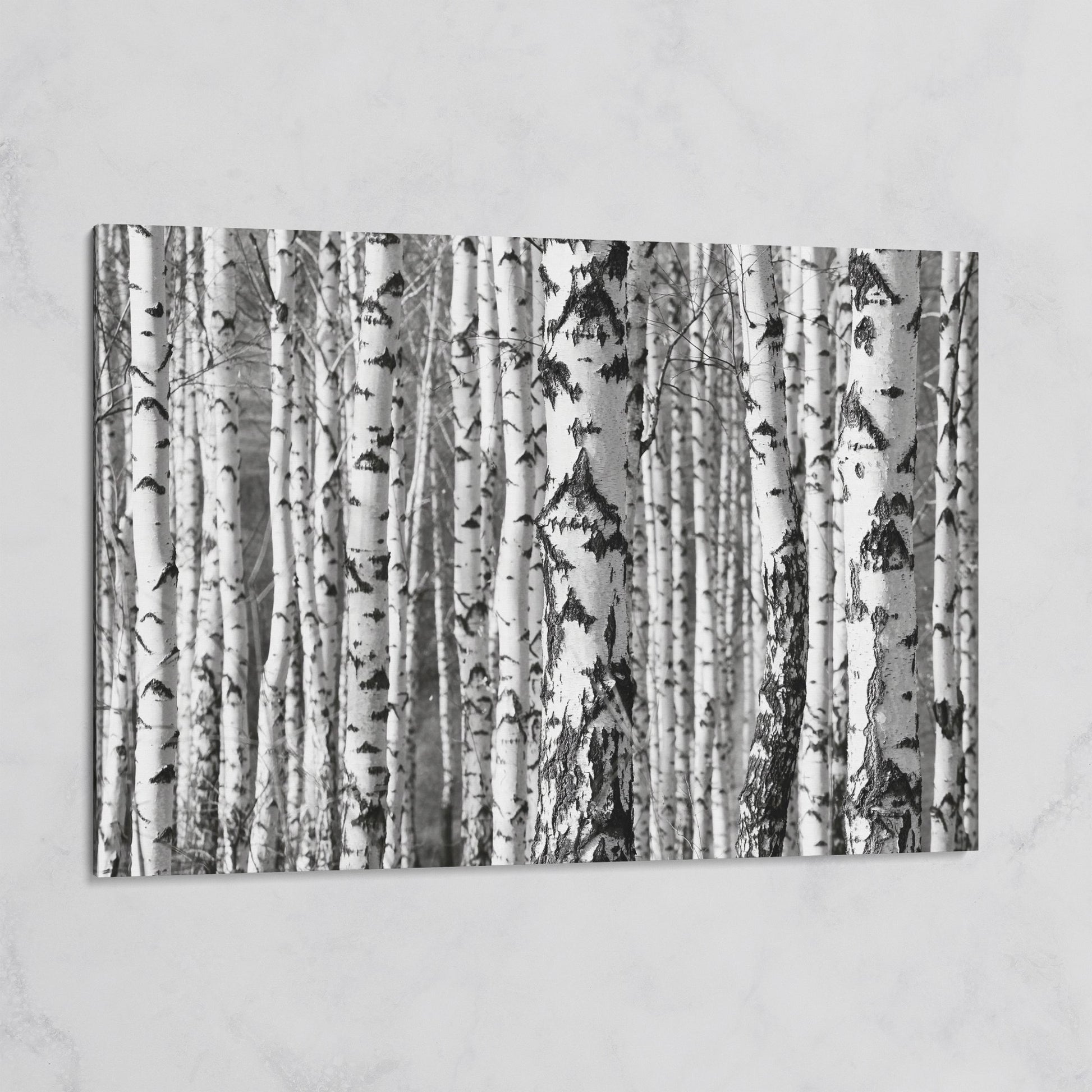 Birch Grove Canvas Wall Art: Bark and Trunk Detail on gallery wrap
