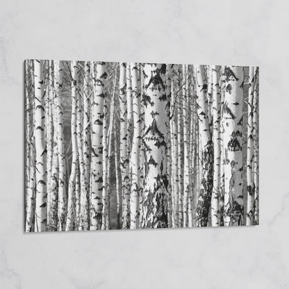 Birch Grove Canvas Wall Art: Bark and Trunk Detail on gallery wrap