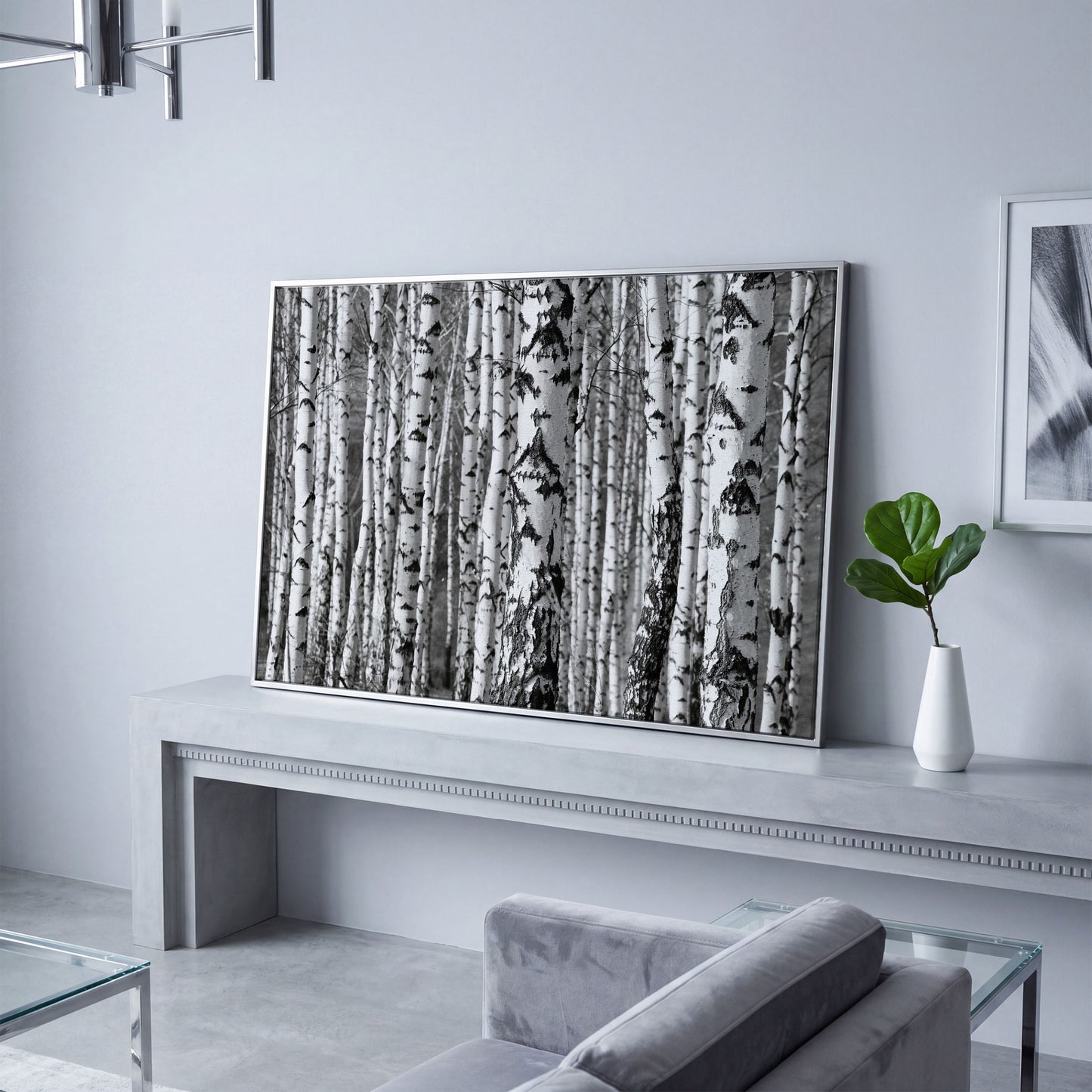 Birch Grove Canvas Wall Art: Bark and Trunk Detail in silver floating frame