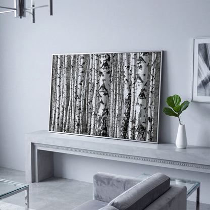 Birch Grove Canvas Wall Art: Bark and Trunk Detail in silver floating frame