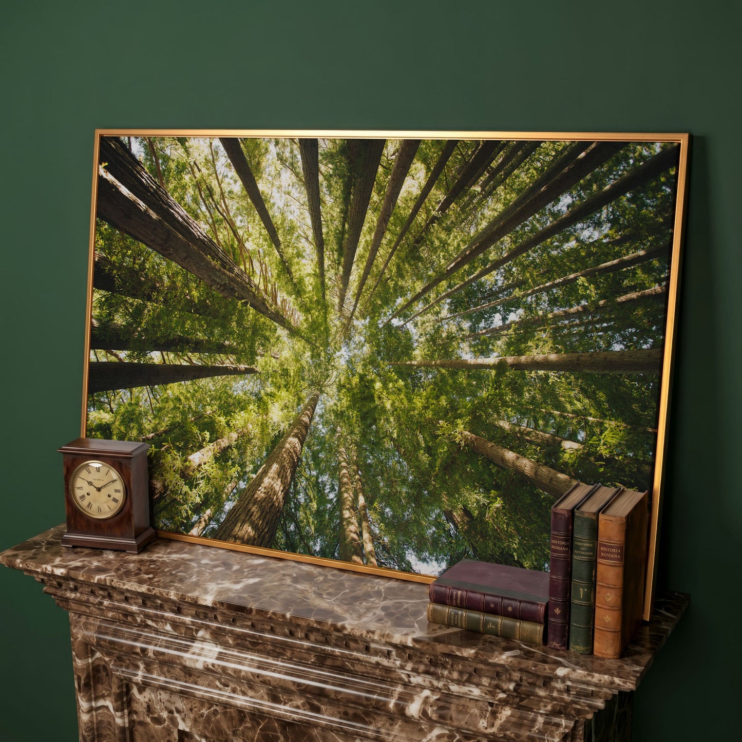 Looking Up Through the Forest Canopy, Canvas Wall Art in antique gold floating frame