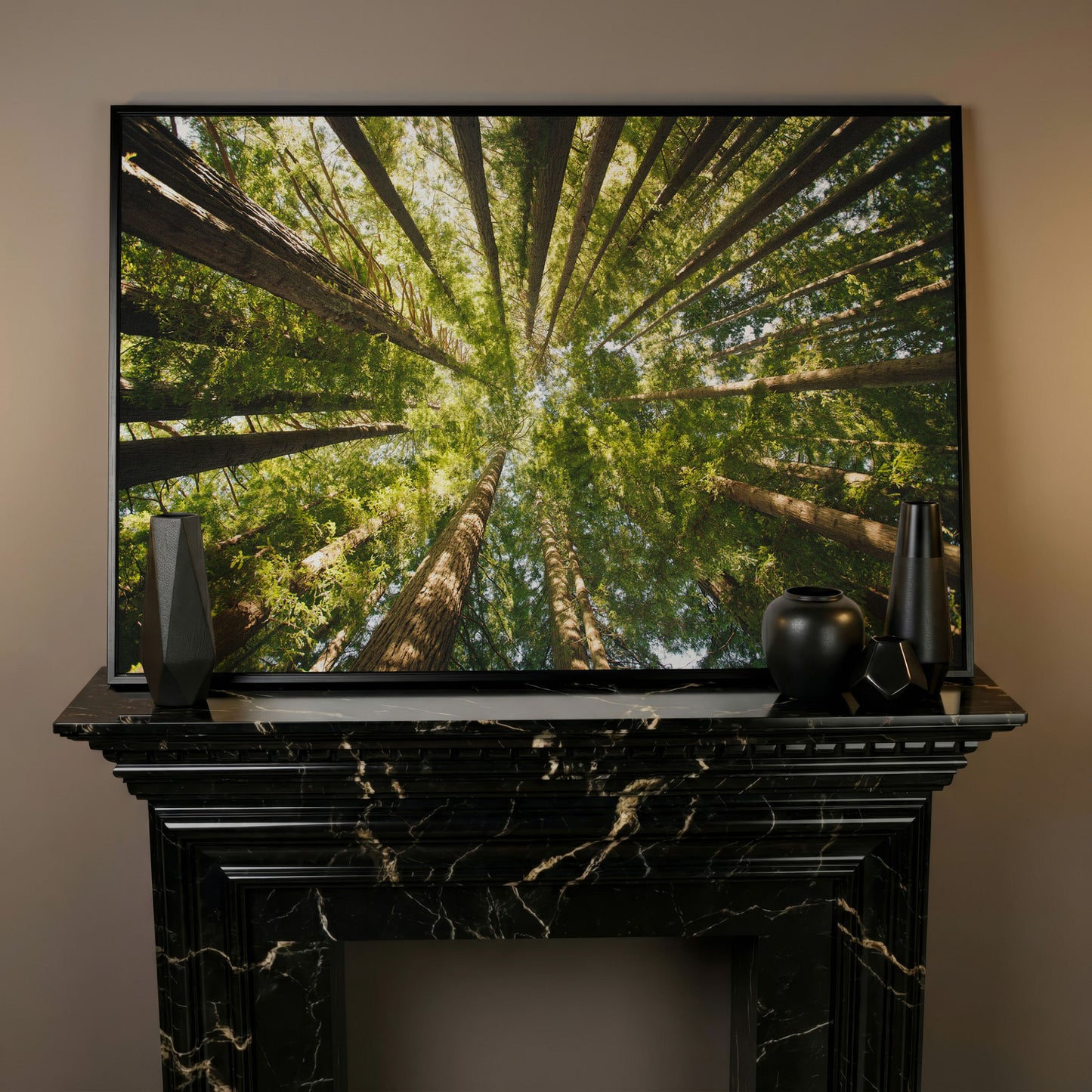 Looking Up Through the Forest Canopy, Canvas Wall Art in black floating frame