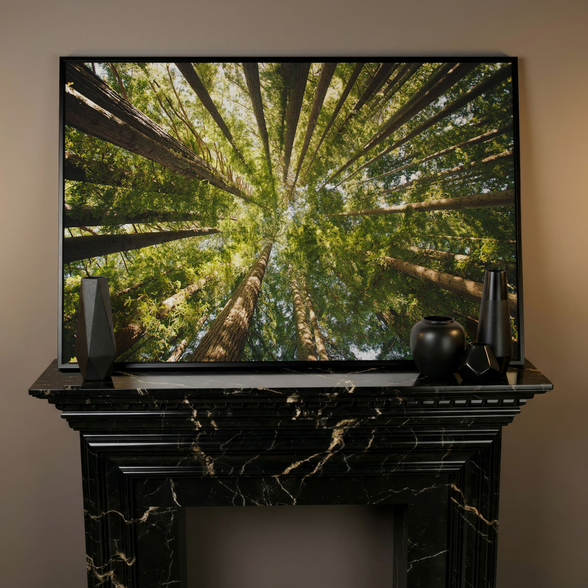 Looking Up Through the Forest Canopy, Canvas Wall Art in black floating frame
