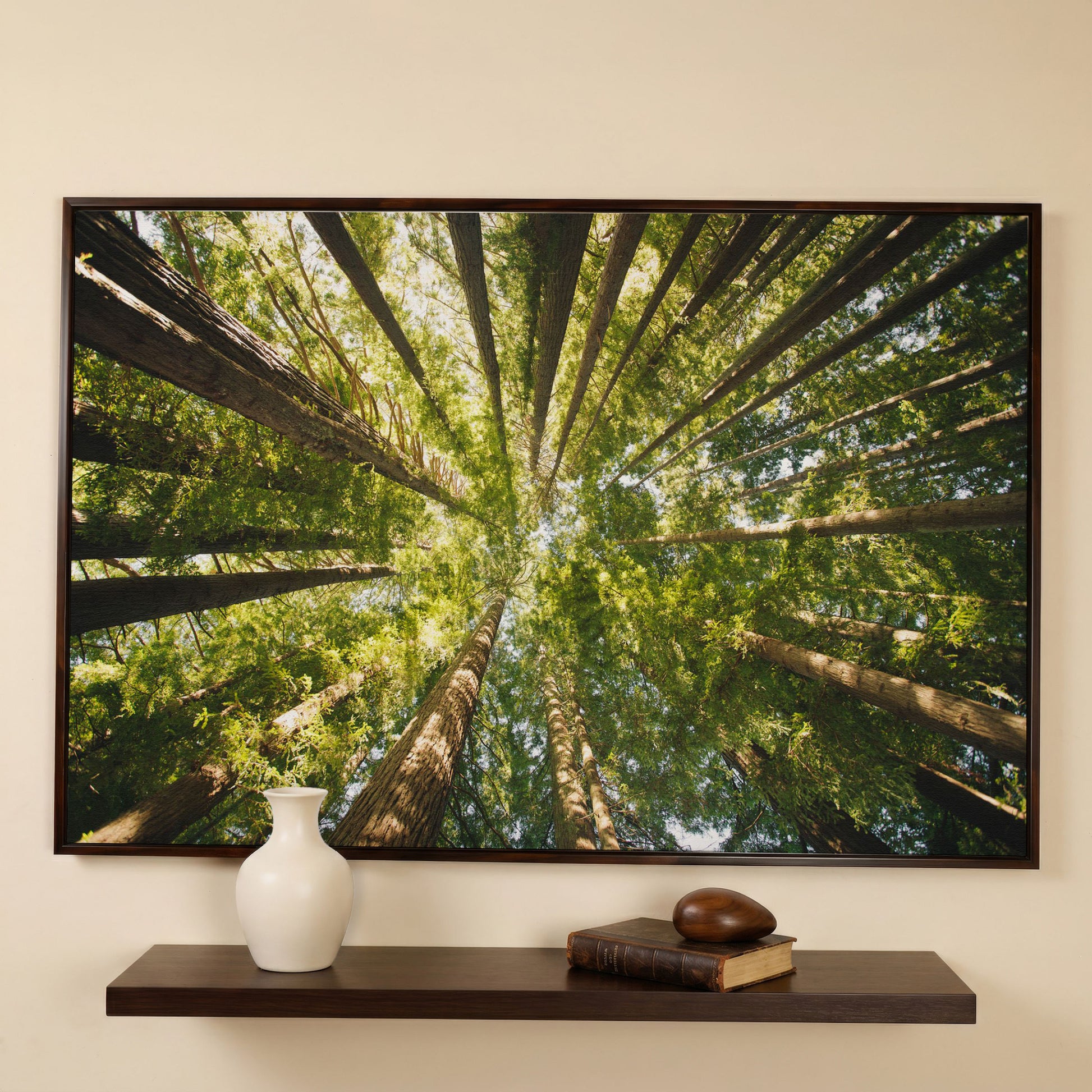 Looking Up Through the Forest Canopy, Canvas Wall Art in dark walnut floating frame