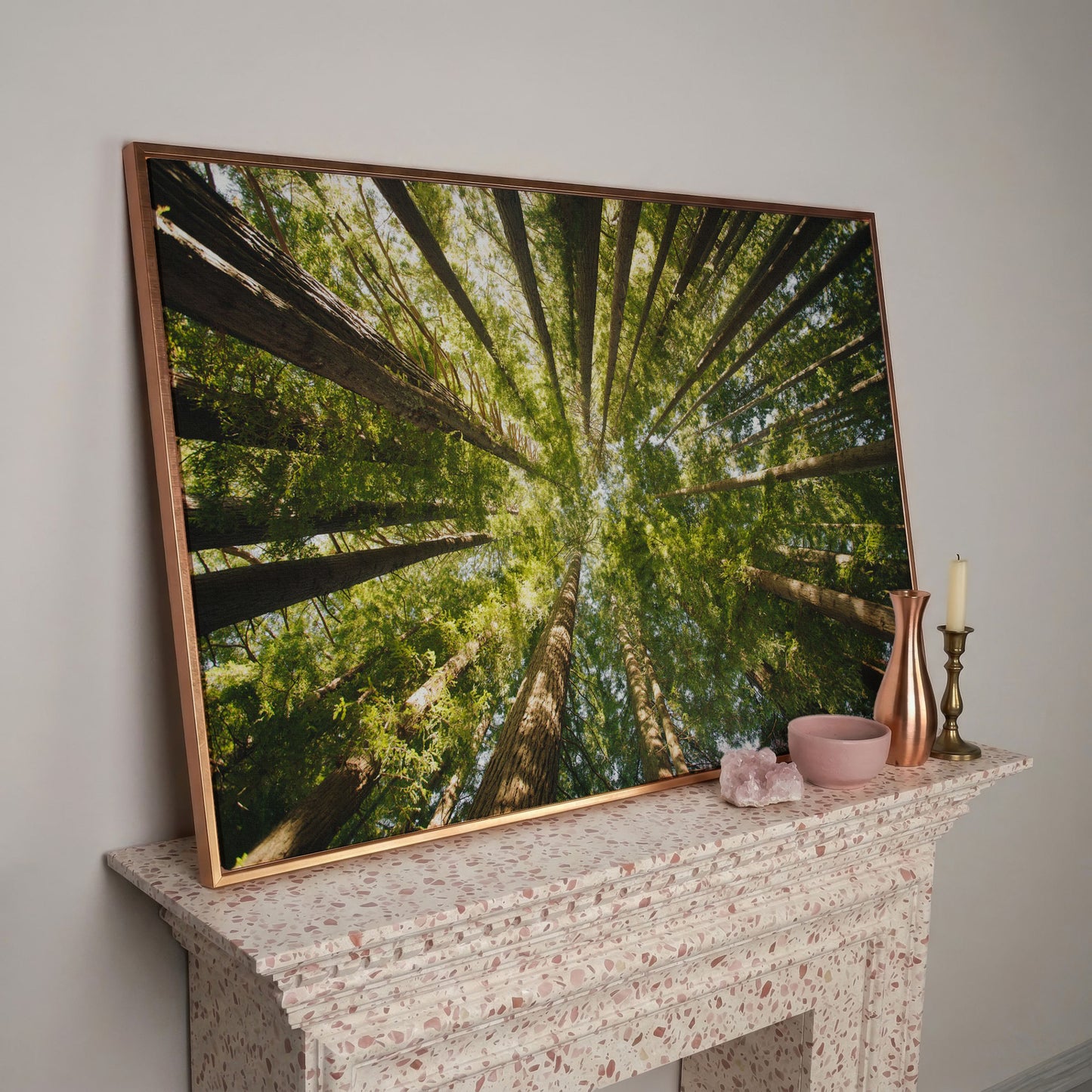 Looking Up Through the Forest Canopy, Canvas Wall Art in rose gold floating frame