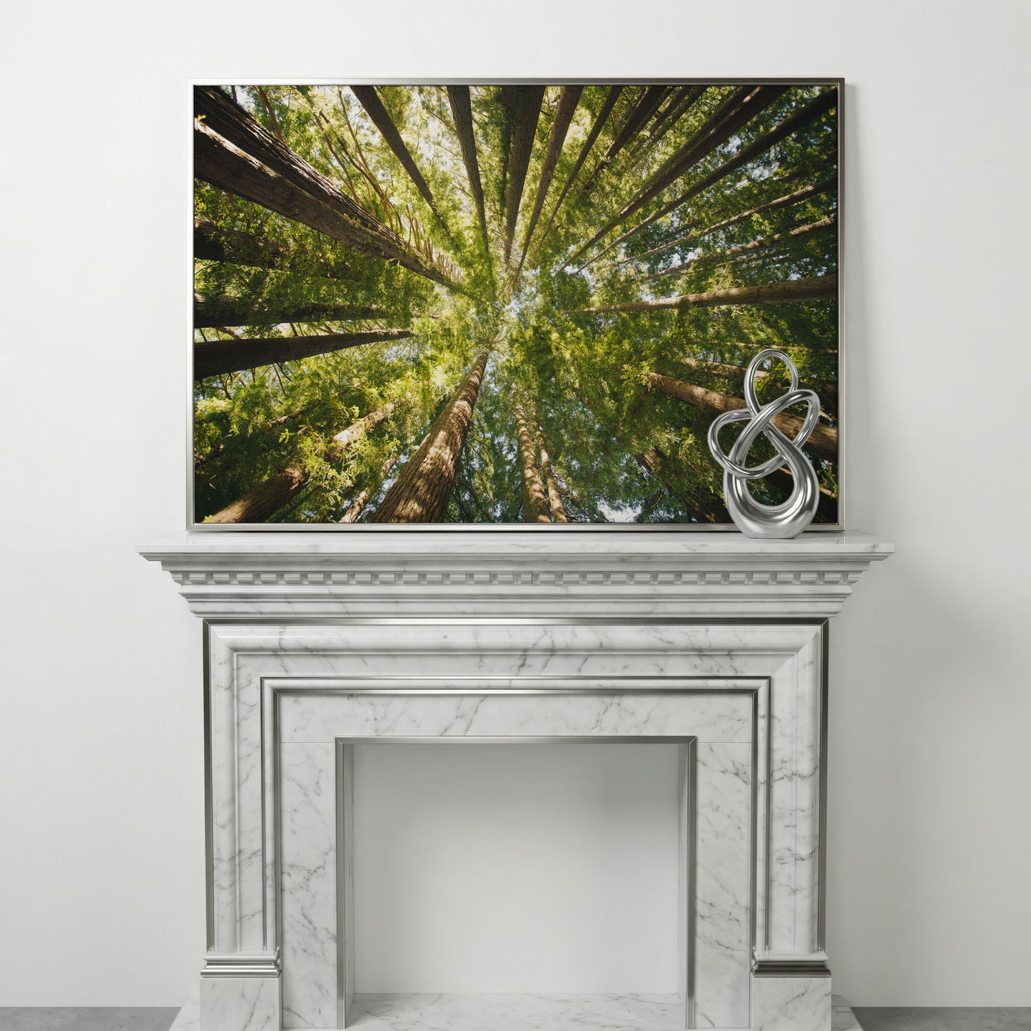 Looking Up Through the Forest Canopy, Canvas Wall Art in silver floating frame