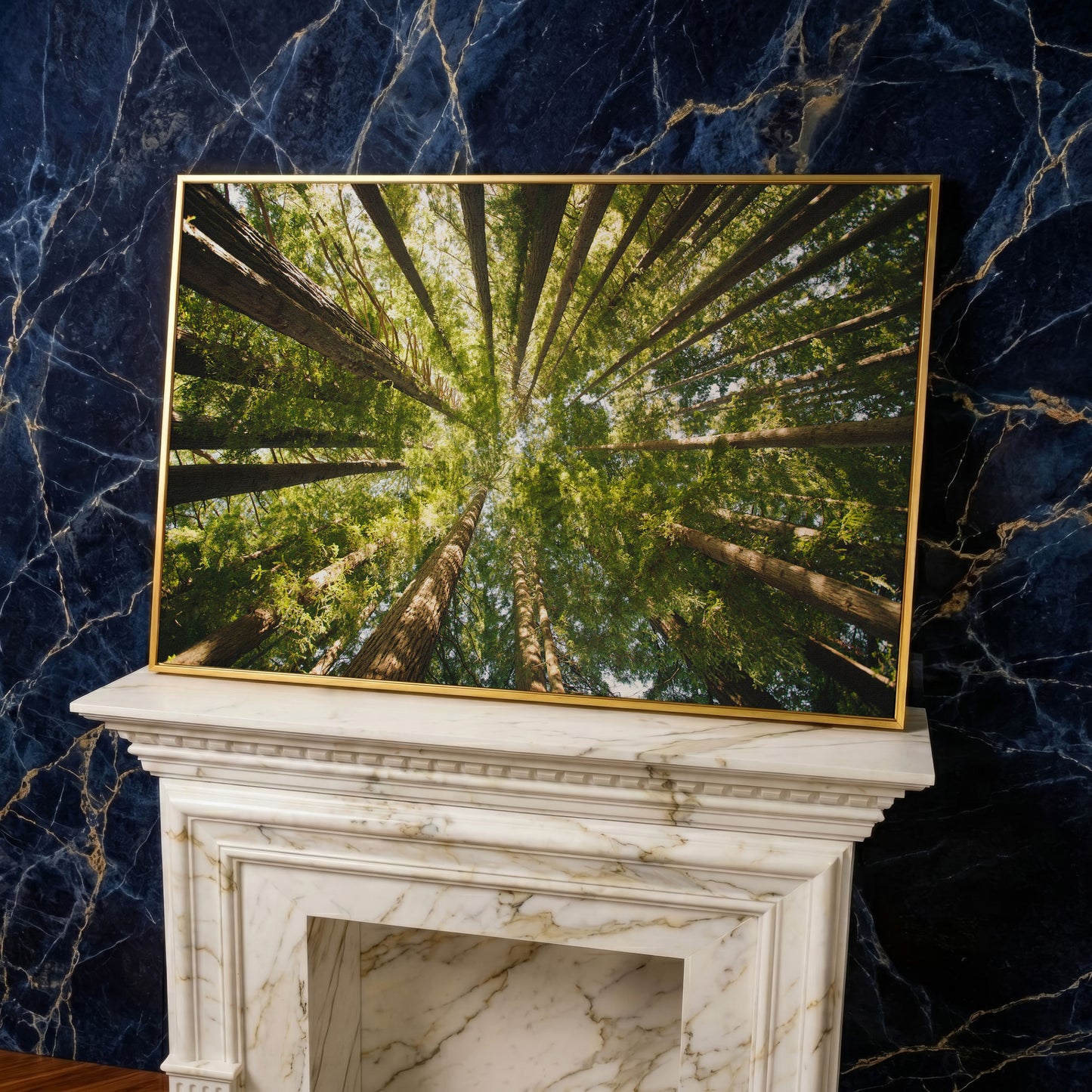 Looking Up Through the Forest Canopy, Canvas Wall Art in yellow gold floating frame