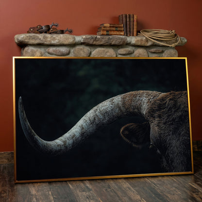 Bull Close-Up Canvas Wall Art, Rustic Farmhouse and Western Decor in antique gold floating frame