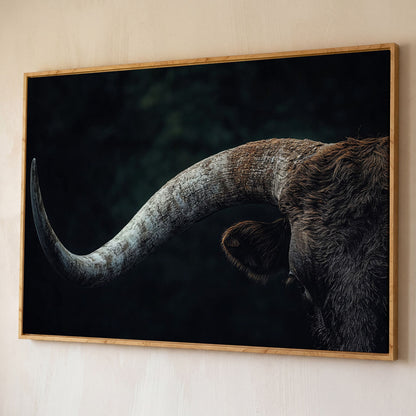Bull Close-Up Canvas Wall Art, Rustic Farmhouse and Western Decor shown in white oak floating frame