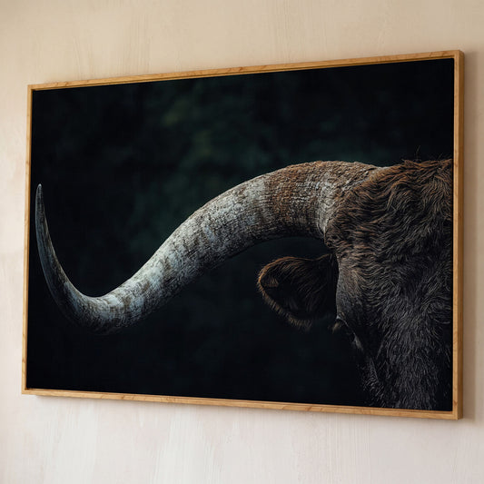 Bull Close-Up Canvas Wall Art, Rustic Farmhouse and Western Decor shown in white oak floating frame