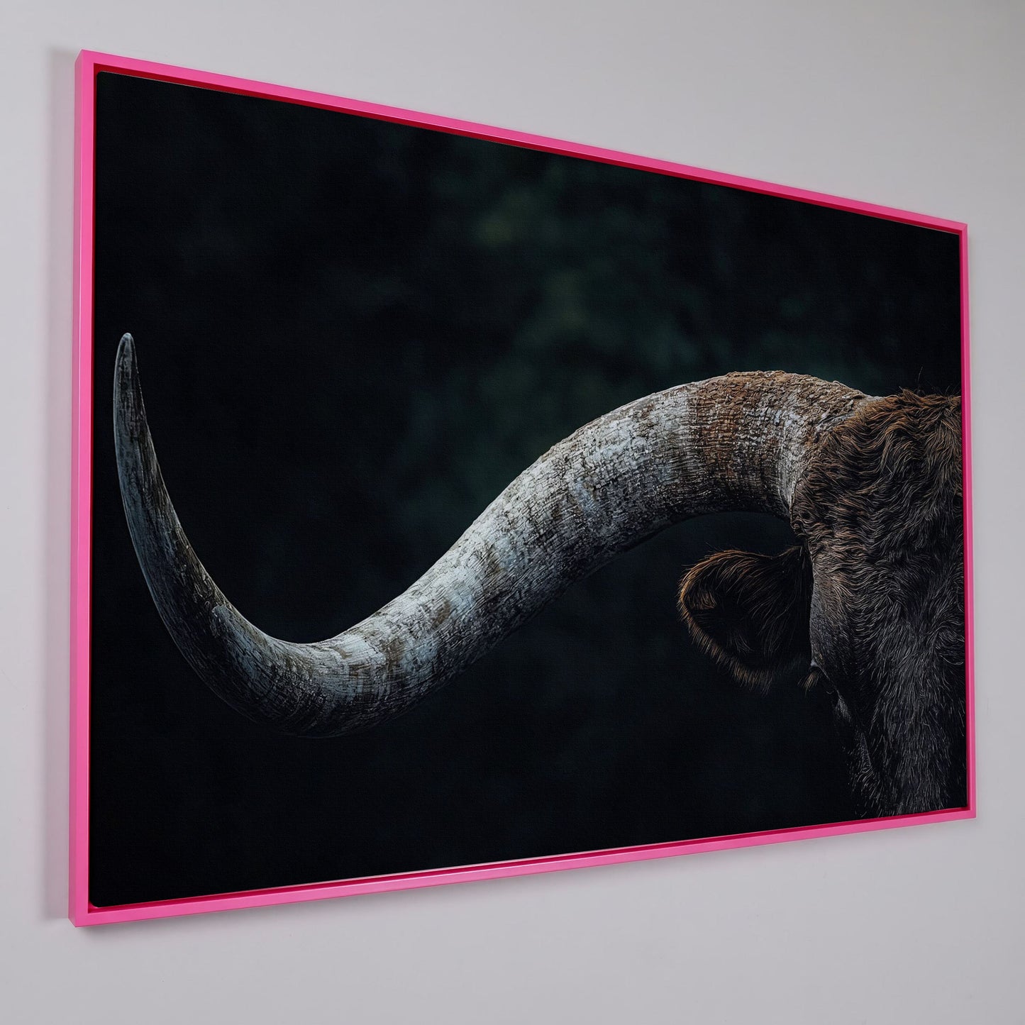 Bull Close-Up Canvas Wall Art, Rustic Farmhouse and Western Decor in pink floating frame