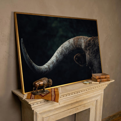 Bull Close-Up Canvas Wall Art, Rustic Farmhouse and Western Decor in rose gold floating frame