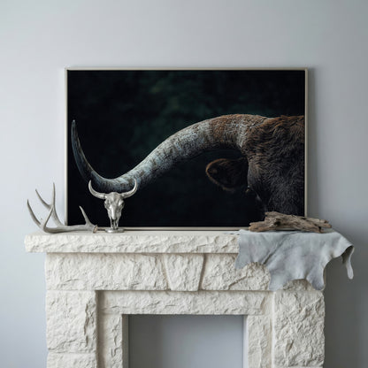 Bull Close-Up Canvas Wall Art, Rustic Farmhouse and Western Decor in silver floating frame
