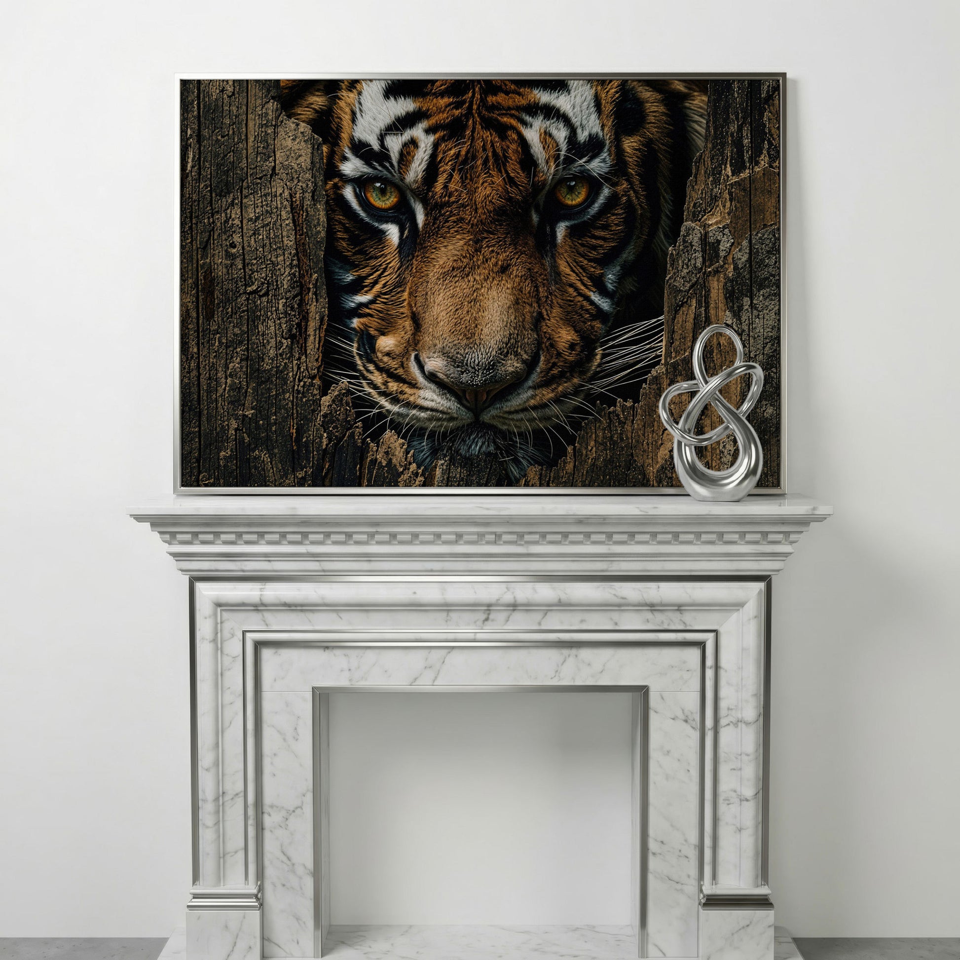 Bengal Tiger Close-Up Canvas Art, Peering Through Aged Wood in silver floating frame