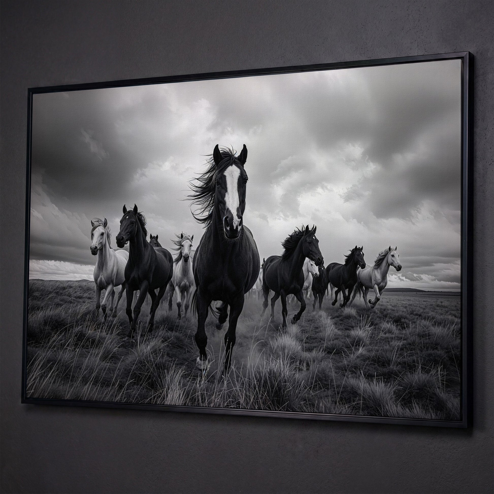 Wild Horses Galloping Across the Plains. Canvas Wall Art shown in black floating frame