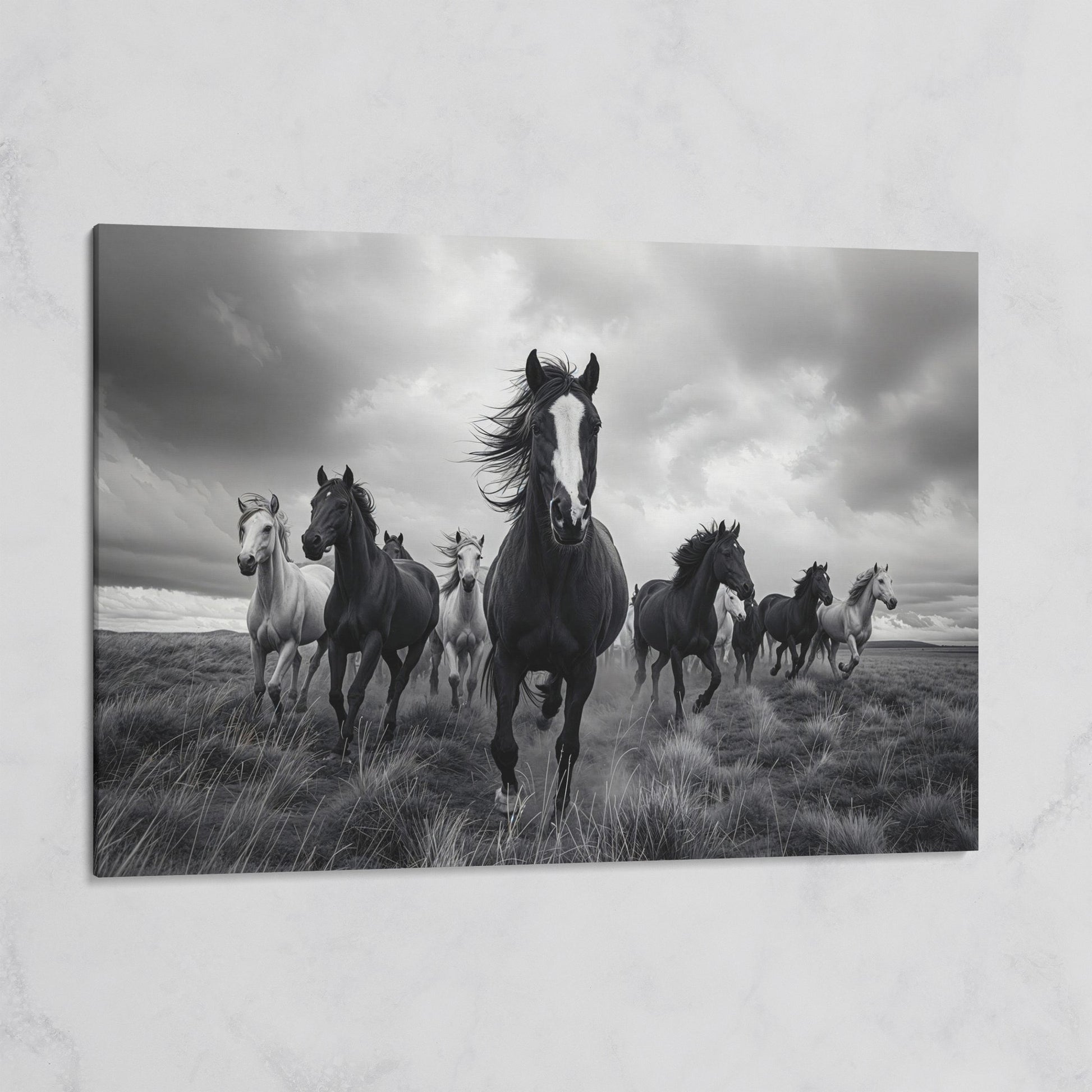 Wild Horses Galloping Across the Plains. Canvas Wall Art on gallery wrap