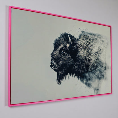 Bison Side Profile Canvas Print in Charcoal and Cream in pink floating frame