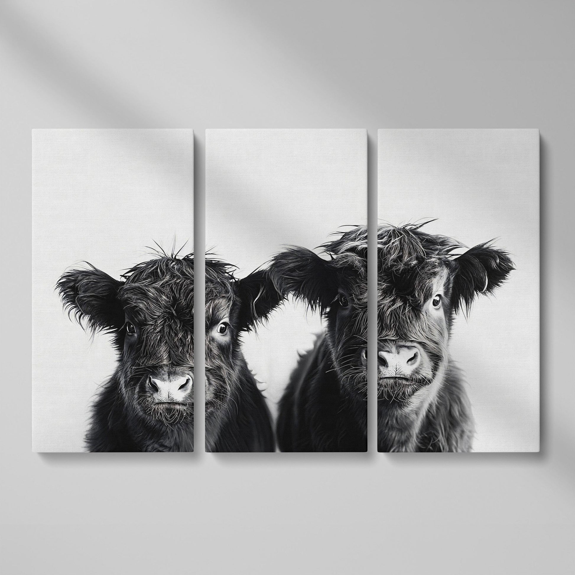 Two Highland Calves Face-On, Black and White Canvas Art as 3-panel split version