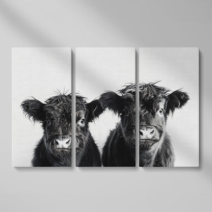 Two Highland Calves Face-On, Black and White Canvas Art as 3-panel split version