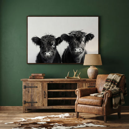 Two Highland Calves Face-On, Black and White Canvas Art in dark walnut floating frame