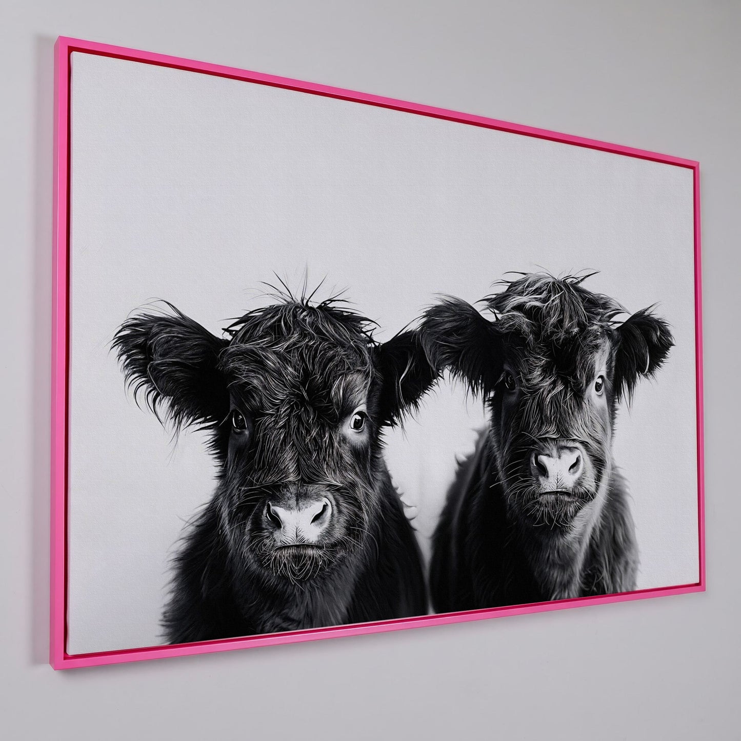 Two Highland Calves Face-On, Black and White Canvas Art in pink floating frame