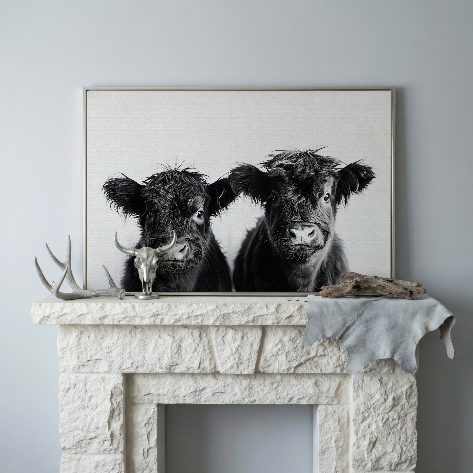 Two Highland Calves Face-On, Black and White Canvas Art in silver floating frame