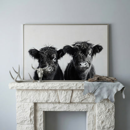 Two Highland Calves Face-On, Black and White Canvas Art in silver floating frame