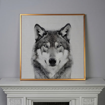 Grey Wolf Square Canvas Print in antique gold floating frame