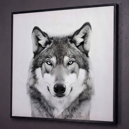 Grey Wolf Square Canvas Print shown in black floating frame