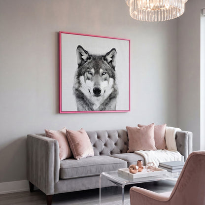 Grey Wolf Square Canvas Print in pink floating frame