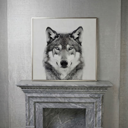 Grey Wolf Square Canvas Print in silver floating frame