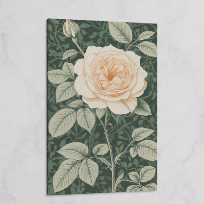 White Rose Canvas Print with Forest Green Background on gallery wrap