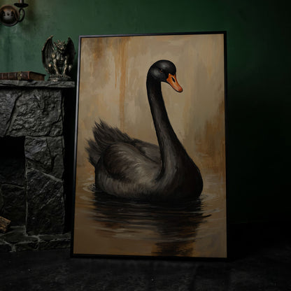 Black Swan in Calm Water Canvas Print in black floating frame