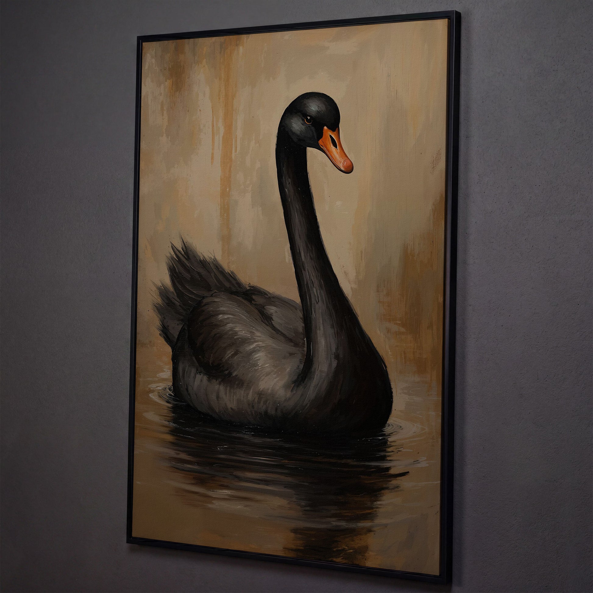 Black Swan in Calm Water Canvas Print shown in black floating frame