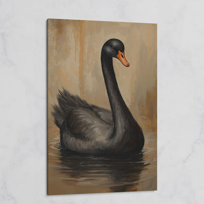 Black Swan in Calm Water Canvas Print on gallery wrap