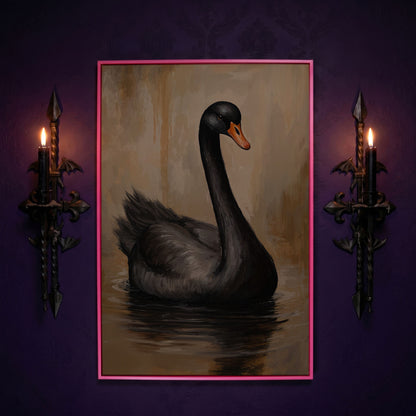Black Swan in Calm Water Canvas Print in pink floating frame