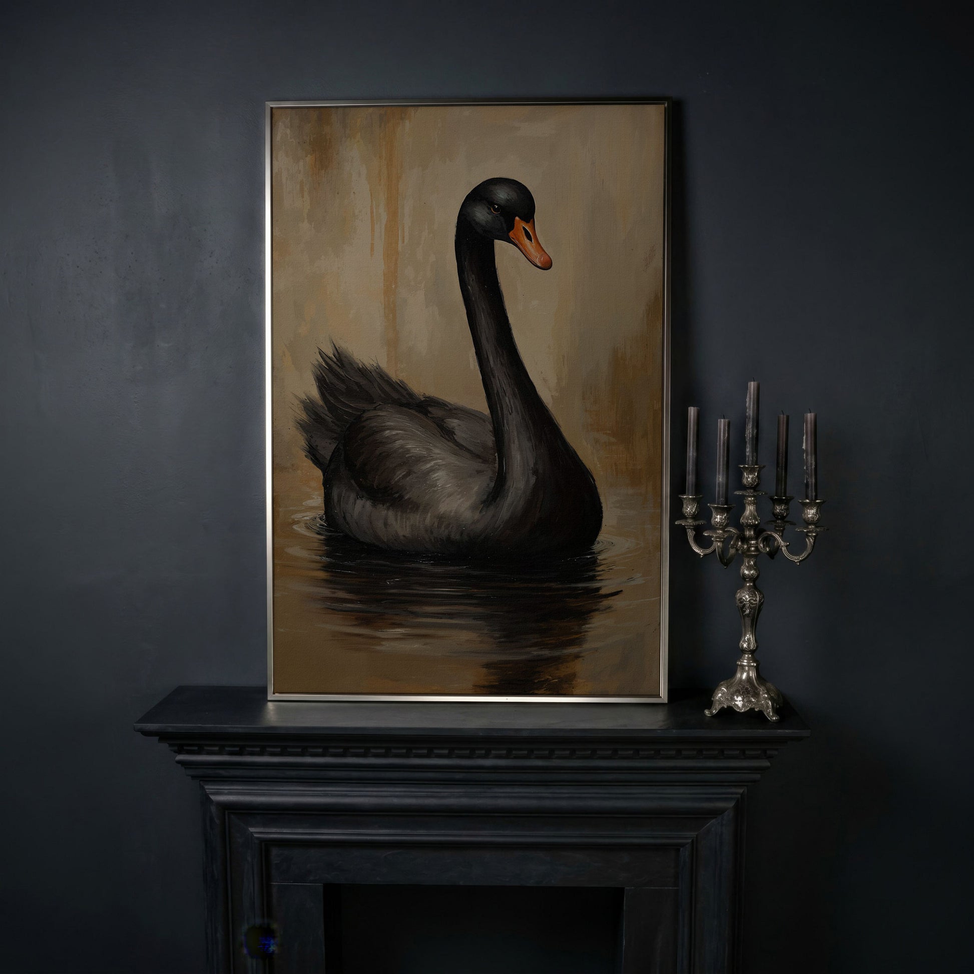 Black Swan in Calm Water Canvas Print in silver floating frame