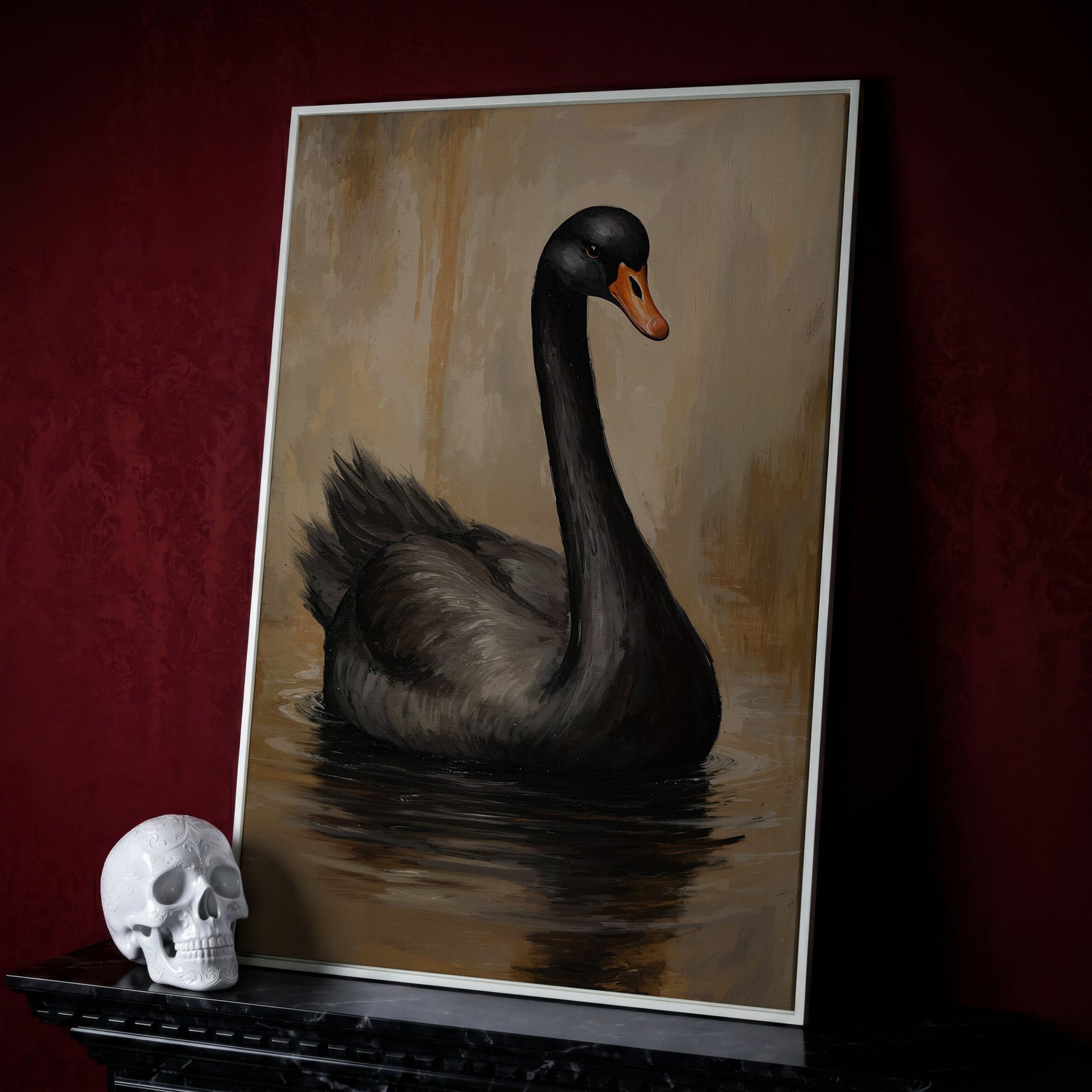 Black Swan in Calm Water Canvas Print in white floating frame