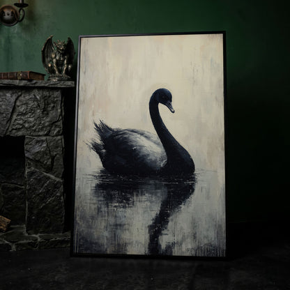 Black Swan on Calm Water Canvas Print in black floating frame