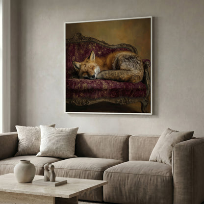 Fox Napping on an Antique Couch. Square Canvas Art in white floating frame